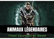 Test Animaux lgendaires