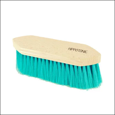 Quelle est cette brosse ?