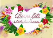 Quiz Bonne fte  toutes les mamans !