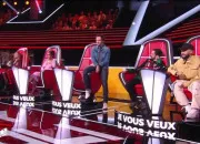 Test Quel finaliste de ''The Voice'' 2023 es-tu ?