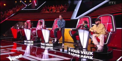 Mise en situation : vous avez été pris pour les auditions de ''The Voice''. Heureusement, votre voix a l'air d'avoir plu et tous les coachs se sont retournés. Lequel choisissez-vous ?