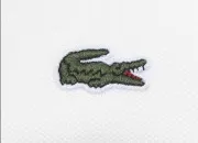 Quiz Crocodile