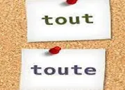 Quiz Culture gnrale ''tout'' et ''toute''