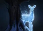 Quiz Les Patronus des personnages de Harry Potter ~QUIZ 4~