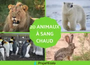 Quiz Les animaux (1) !