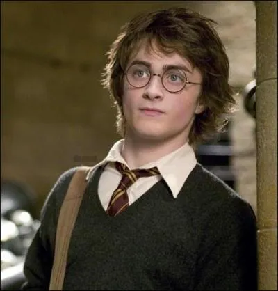 Qui joue Harry Potter ?