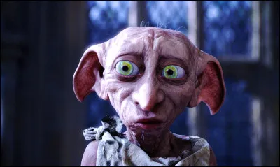 Qui a tué Dobby ?