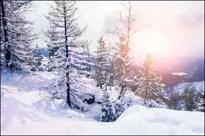 Le Nunavik est un territoire du Canada.