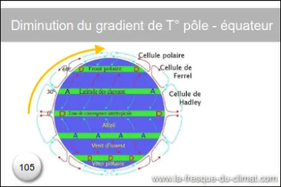 Le succès de la fresque sexplique ainsi : elle rend accessible et compréhensible des données complexes, issues des rapports du/de ... (Complétez !)