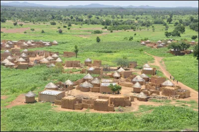 Lequel de ces animaux est considéré comme sacré au Burkina Faso ?