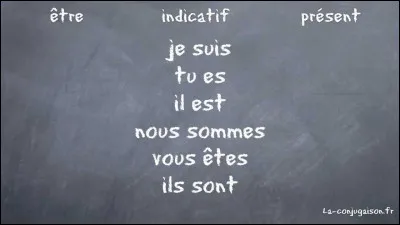 Commençons avec de la conjugaison. Complète cette phrase : 
''Ce quiz n'___ aucun sujet.'' (L'image n'a rien à voir.)