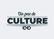 Quiz Culture gnrale Vol 20