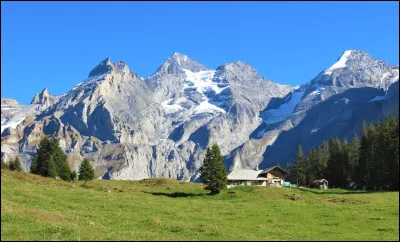 Après une longue marche, tu atteins le sommet de la montagne. Que fais-tu ?