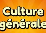 Quiz Culture ple-mle (11)