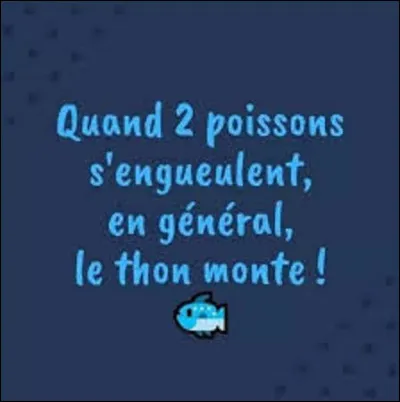 Quel animal marin est le plus intelligent au monde ?