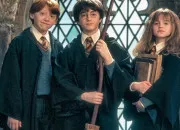 Test Je devine  qui de ''Harry Potter'' tu penses