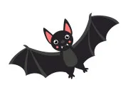 Quiz Chauve-souris