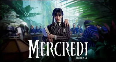 Quel personnage de la série "Mercredi" préfères-tu ?