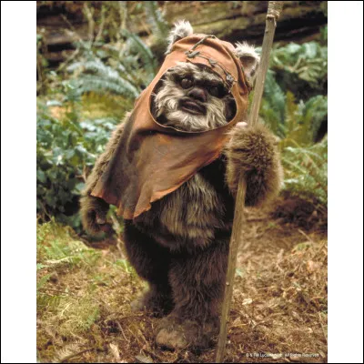 Comment s'appelle l'Ewok qui aide Leia sur Endor dans l'épisode VI ?