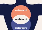 Test Es-tu introvertie, extravertie ou ambivertie ?