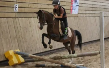 Quiz Equitation