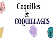 Quiz Coquilles et coquillages