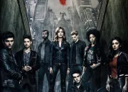 Quiz ''Shadowhunters'' - Facile (lisez la description)