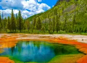 Quiz La faune du parc national de Yellowstone