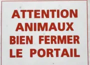 Quiz Les animaux : vrai ou faux