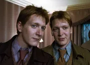 Quiz Fred, George ou les deux ?