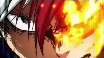 Quel est l'Alter de Todoroki Shoto ?