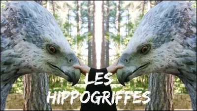 Selon Hagrid, les hippogriffes sont :