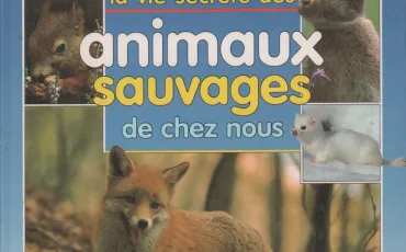 Quiz Sauvages