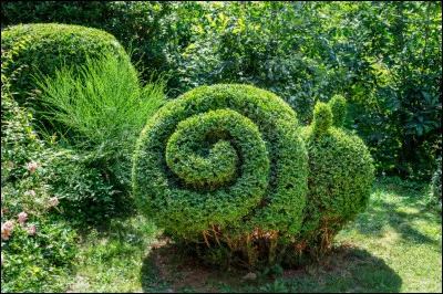 Quelle est la forme de ce buisson ?