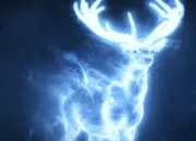 Quiz Les Patronus du monde de ''Harry Potter''