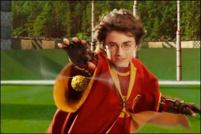 Combien de points reçoit léquipe de Quidditch quand elle attrape le Vif dor ?