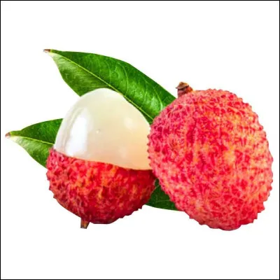 Quelle est la condition requise pour que le litchi produise des fruits ?