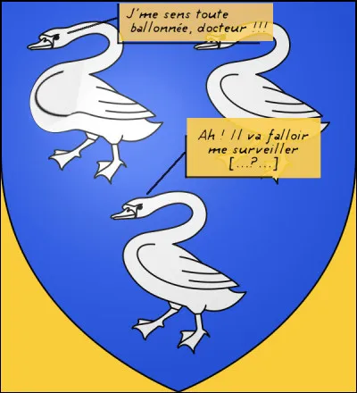 On a beau tenter à toutes forces de préserver l'intimité blasonnesque, on se retrouve parfois débordé et - comme dirait Fernand Naudin, ''le navire fait eau de toutes parts !'' [Retrouvez le nom de cette commune grâce au dialogue.]