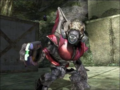 Dans Halo 3, quel est cet alien ?