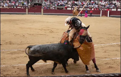 Dans une corrida qui est armé d'une pique ?