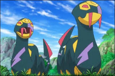 Quel est ce duo de Pokémon ?