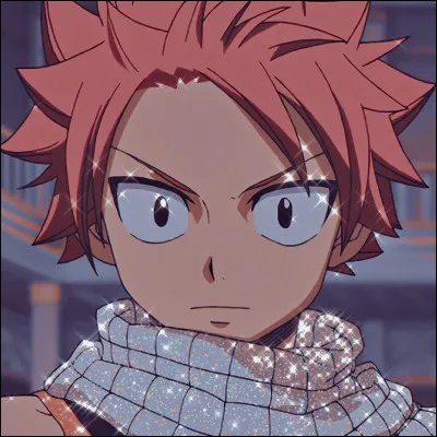 Natsu est un mage de...