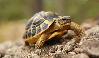 Combien de temps libre as-tu par jour ?