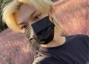 Quiz Felix des ''Stray Kids''