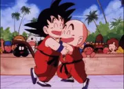 Quiz Dragon Ball : batailles et combats