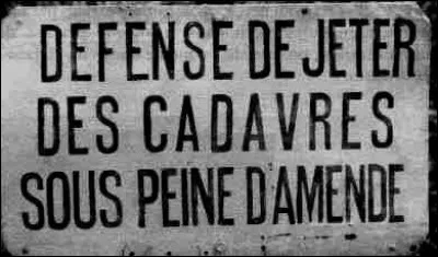 Sur l'île de Tamalou, il est interdit de jeter des cadavres sous peine d'amende !