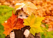 Quiz 15 questions sur l'automne