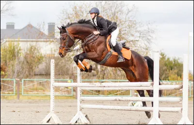 (Tout d'abord le résultat n'est pas sûr !)
Depuis combien de temps fais-tu de l'équitation ?