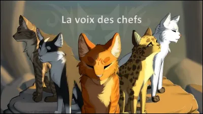 Je suis le créateur du Clan du Tonnerre.