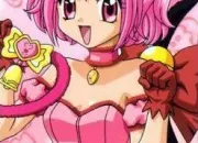 Quiz Tokyo mew mew